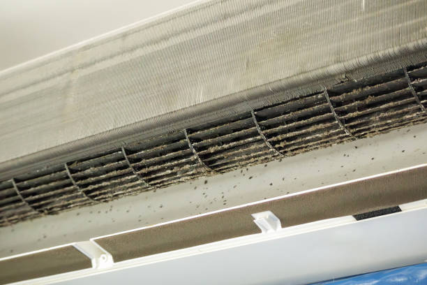 Best Air Duct Cleaning Near Me in Crozet, VA